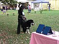 img 046